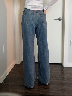 Aritzia Denim Forum Remy Curve-Fit Hi-Rise Wide Jeans
